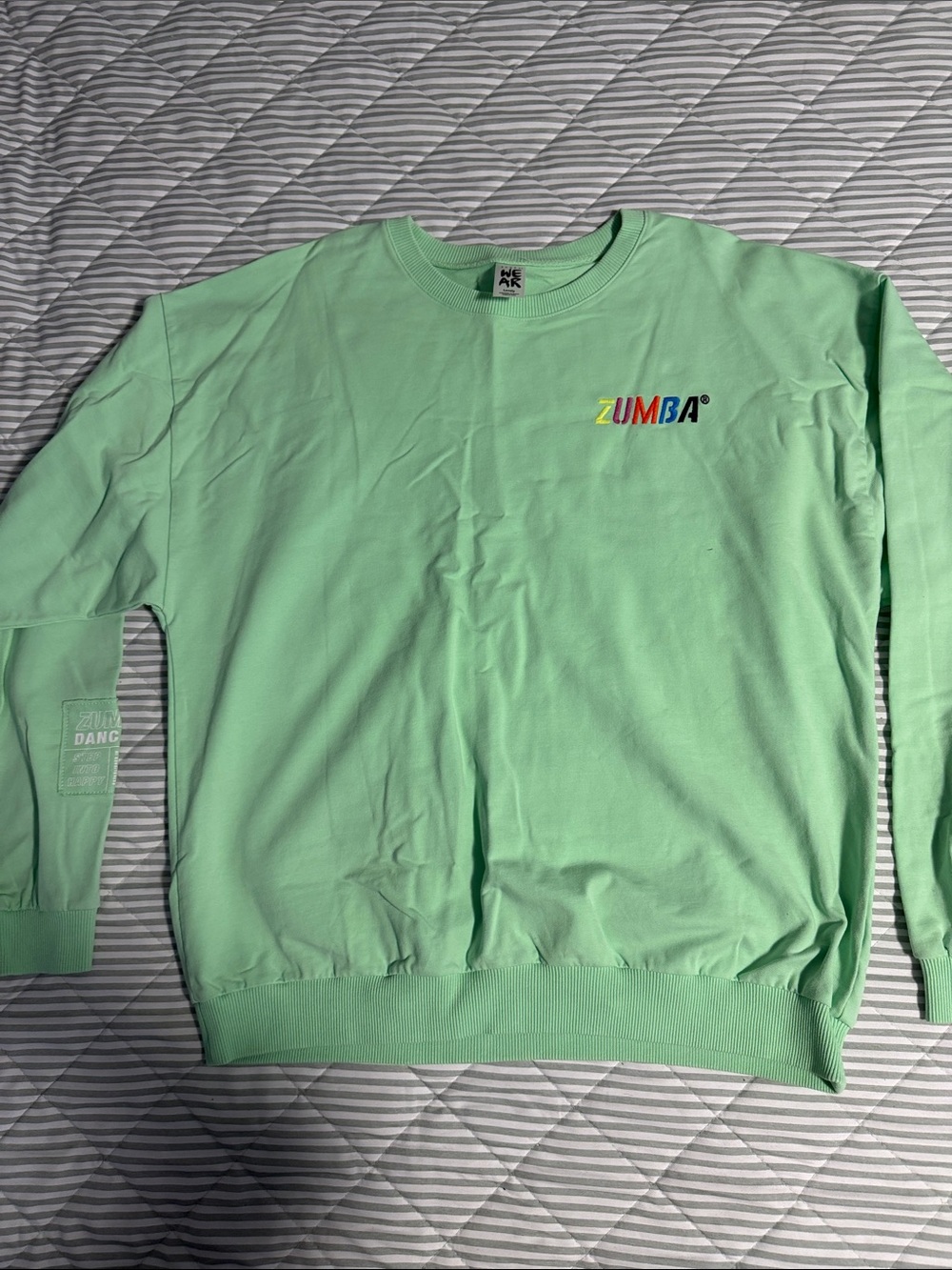 Unisex Zumba Fitness Mint Green Crewneck with Multicolor Logo